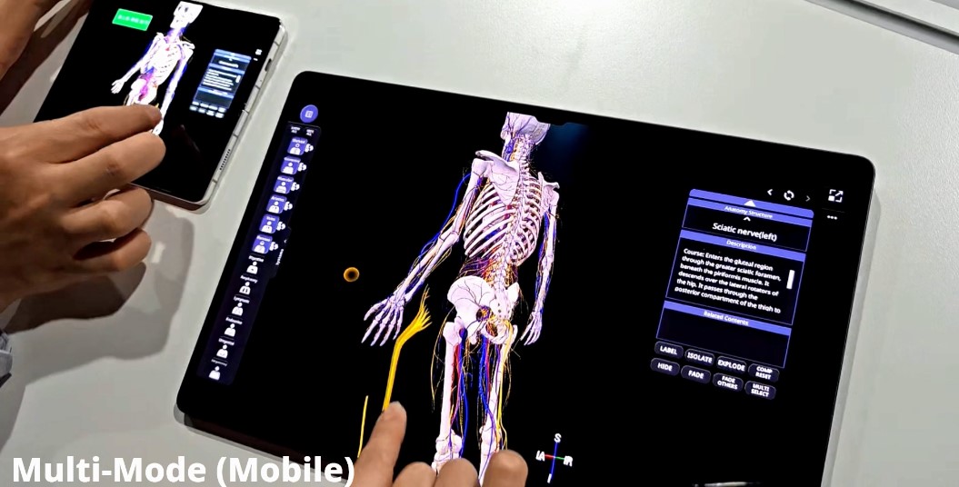 Bàn giải phẫu Medipbox 3D
